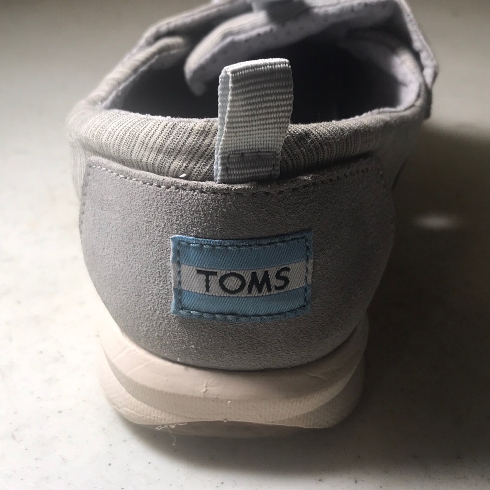 Cute Grey Toms